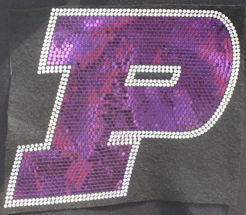 Plano P Hooded Sweatshirt